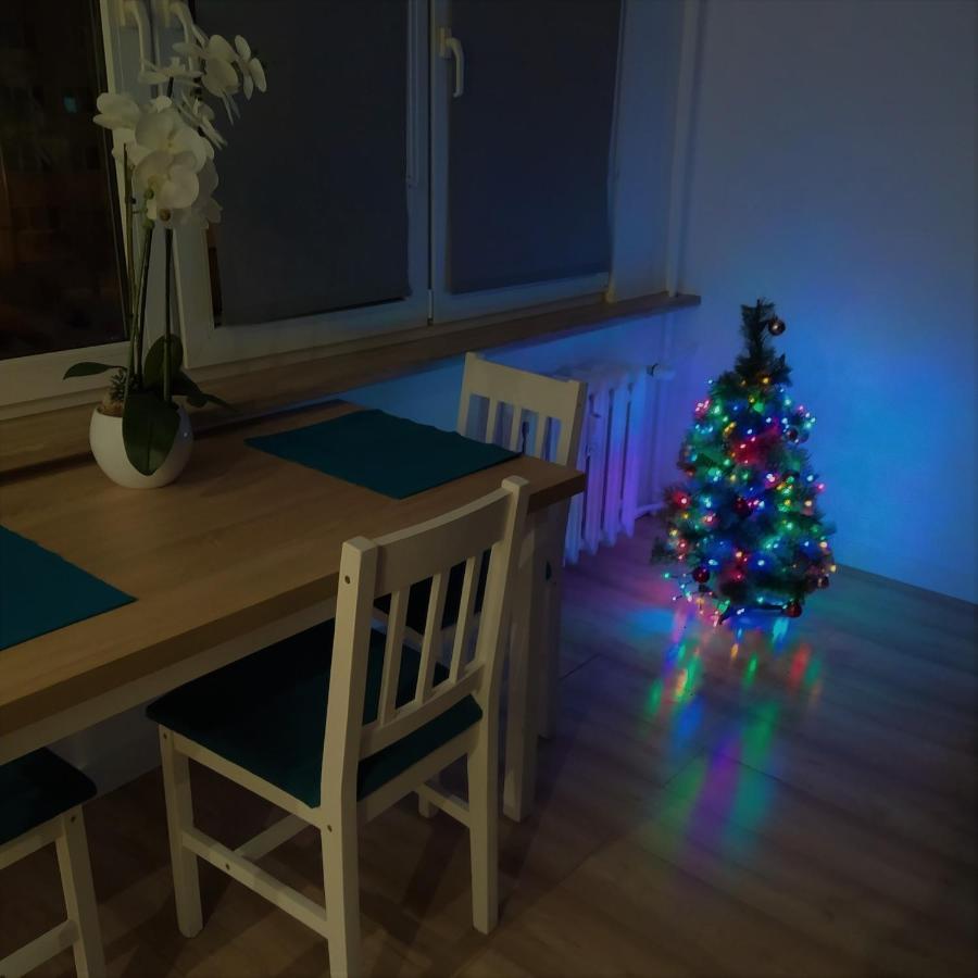 Apartament Torun Dreams Dış mekan fotoğraf