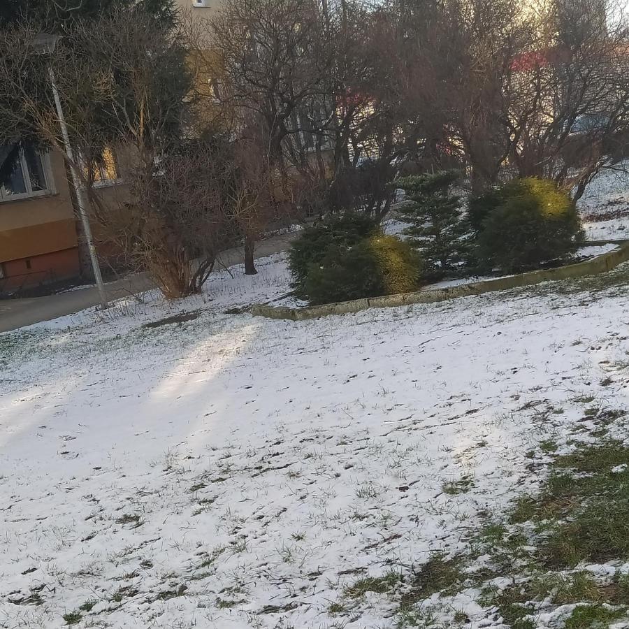 Apartament Torun Dreams Dış mekan fotoğraf